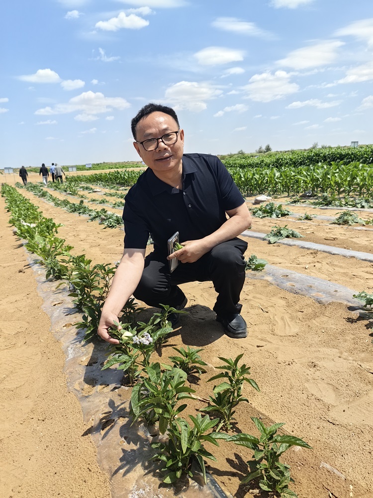 微信圖片_20240705162356.jpg 微信圖片_20240705162356.jpg