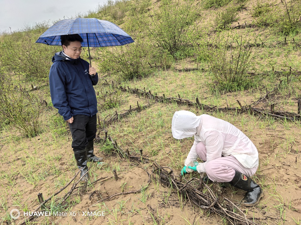 微信圖片_20250628185736.jpg 微信圖片_20250628185736.jpg